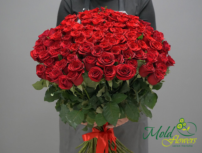 101 Dutch Red Roses, 60-70 cm photo